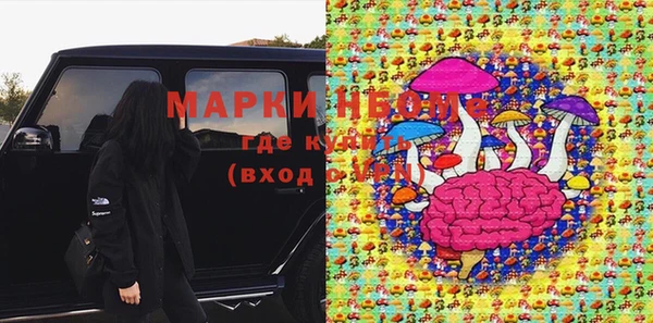ПСИЛОЦИБИНОВЫЕ ГРИБЫ Верея