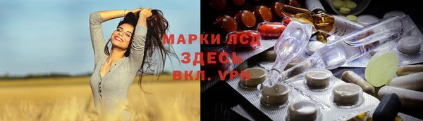 ПСИЛОЦИБИНОВЫЕ ГРИБЫ Верея