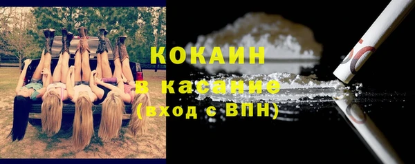 ПСИЛОЦИБИНОВЫЕ ГРИБЫ Верея