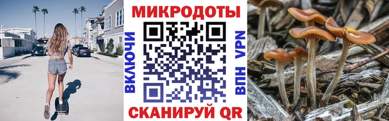 Галлюциногенные грибы мицелий  Купить закладки  Мураши 
